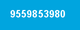 9559853980 9559853980