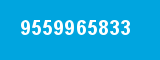 9559965833
