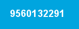 9560132291