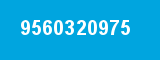 9560320975 9560320975