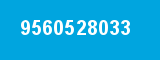 9560528033