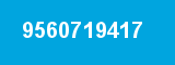 9560719417