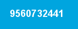 9560732441 9560732441
