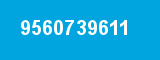 9560739611