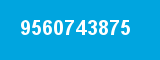 9560743875