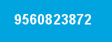 9560823872 9560823872