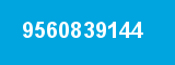 9560839144