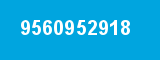 9560952918