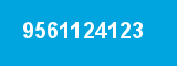 9561124123