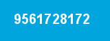 9561728172