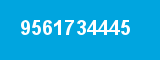9561734445 9561734445