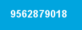 9562879018