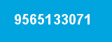 9565133071