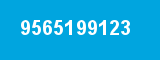 9565199123