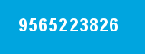 9565223826