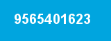 9565401623 9565401623