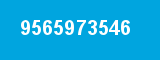 9565973546