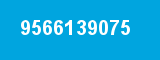 9566139075