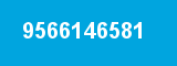 9566146581