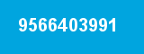 9566403991