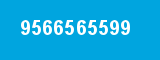 9566565599 9566565599