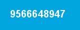 9566648947 9566648947