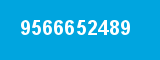 9566652489