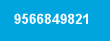 9566849821