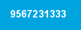 9567231333