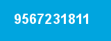 9567231811 9567231811