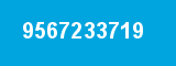 9567233719
