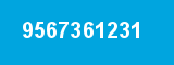 9567361231