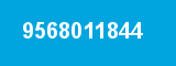 9568011844