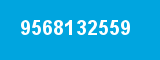 9568132559 9568132559