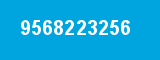9568223256