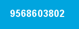 9568603802