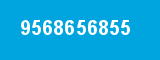 9568656855 9568656855