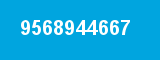 9568944667 9568944667