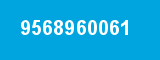 9568960061