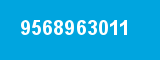 9568963011