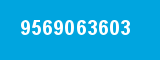 9569063603