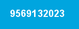 9569132023