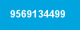 9569134499