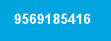 9569185416