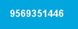 9569351446