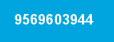 9569603944