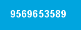 9569653589