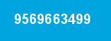 9569663499