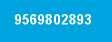 9569802893