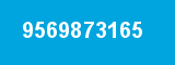 9569873165 9569873165